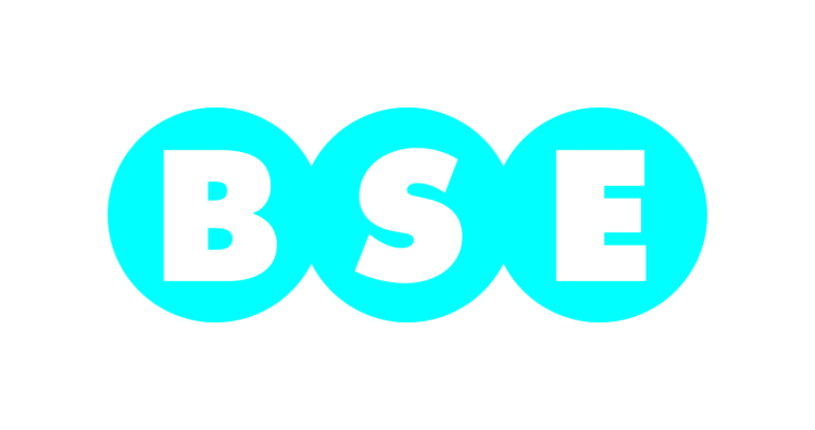 logo BSE 2012_COLOR